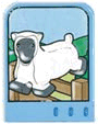 dupstr22